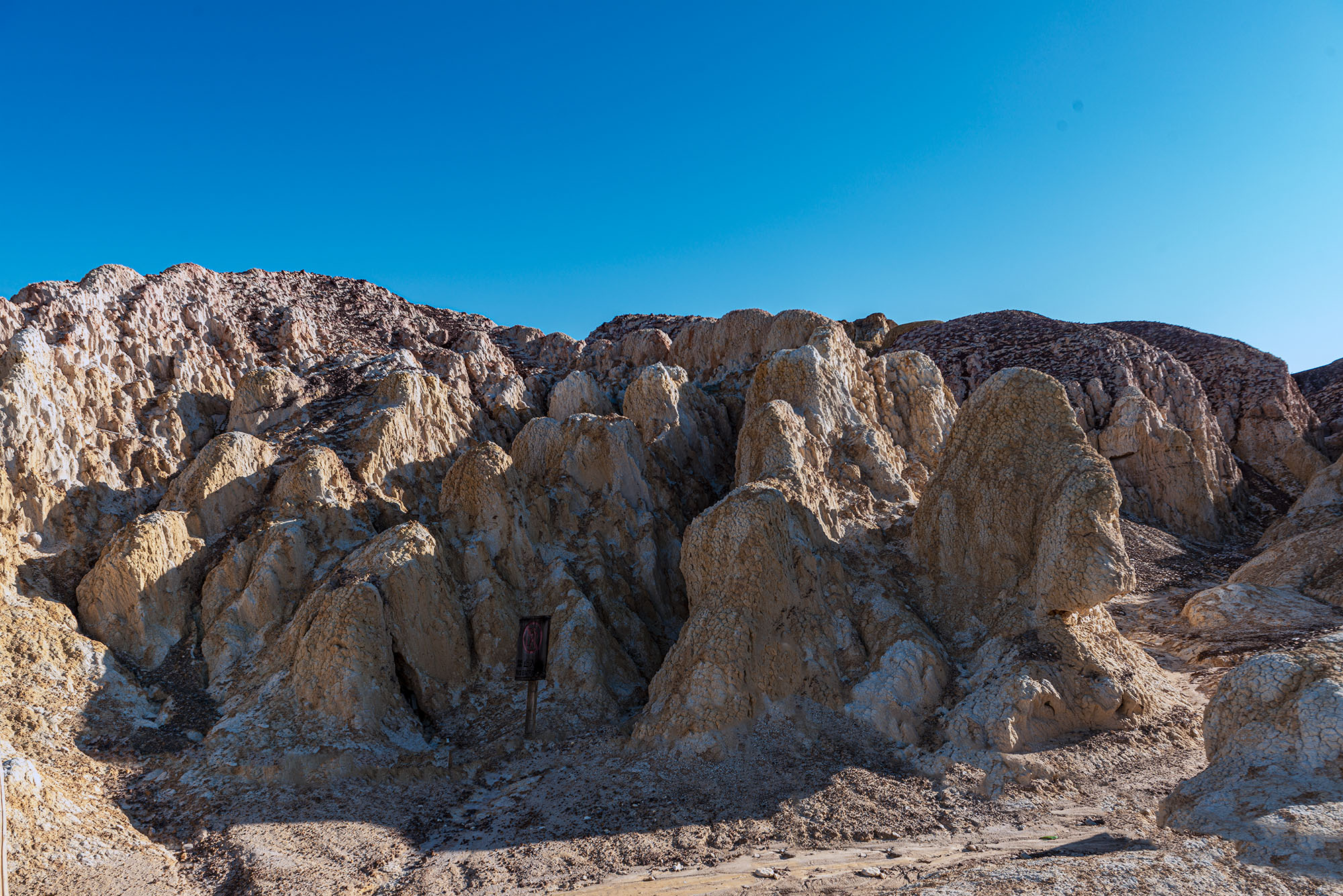 _DSC7958-1.jpg
