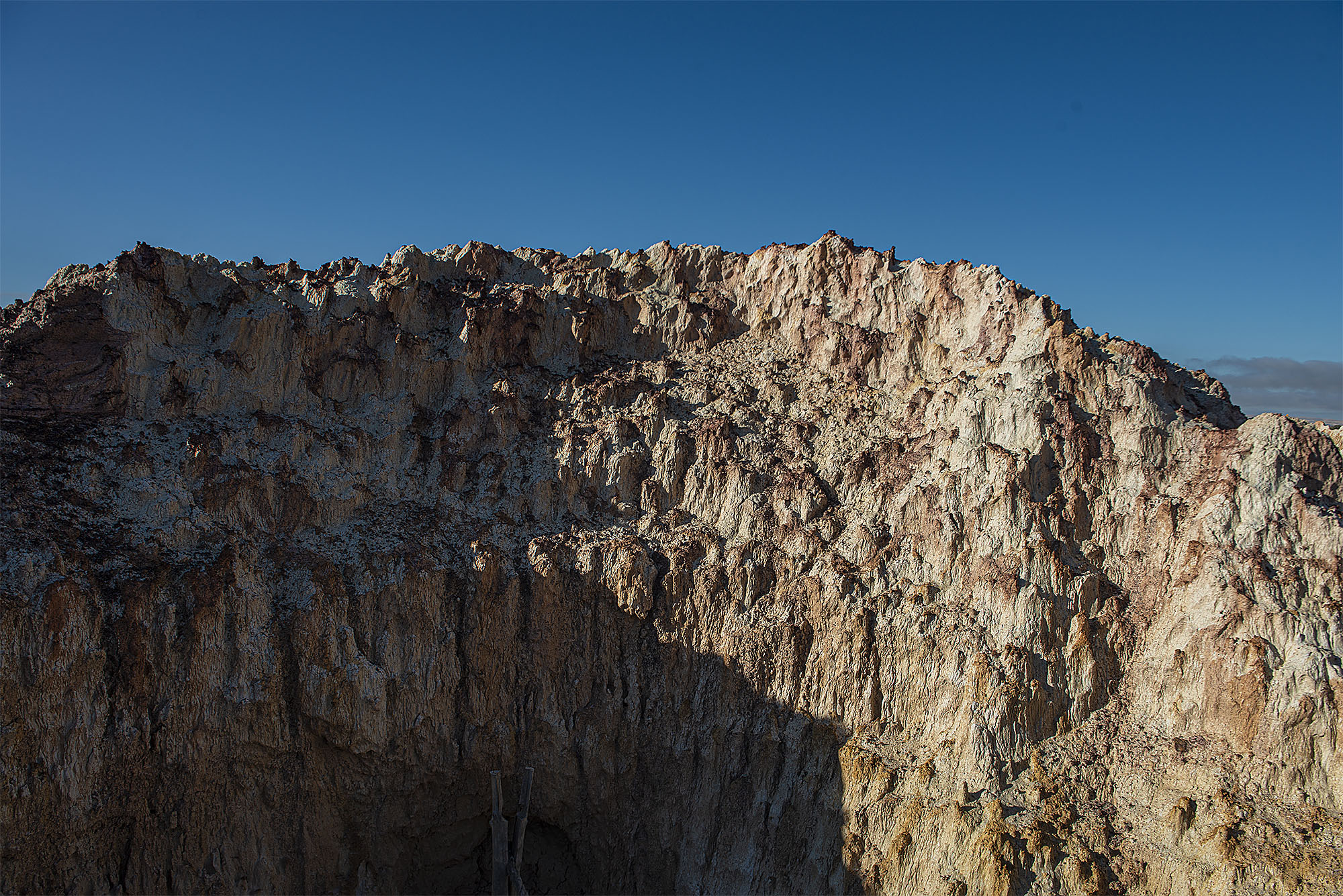_DSC7952-1.jpg