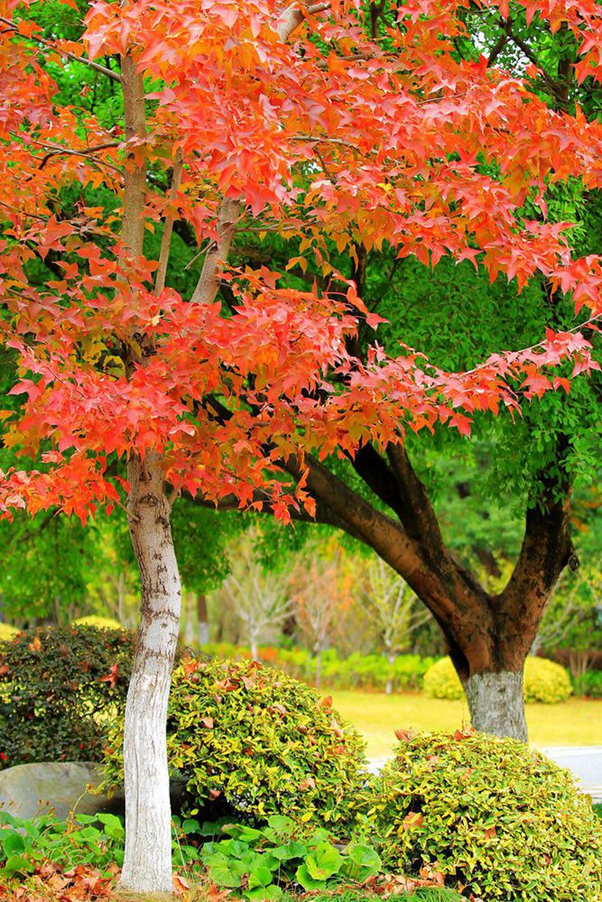IMG_4844_副本_副本.jpg