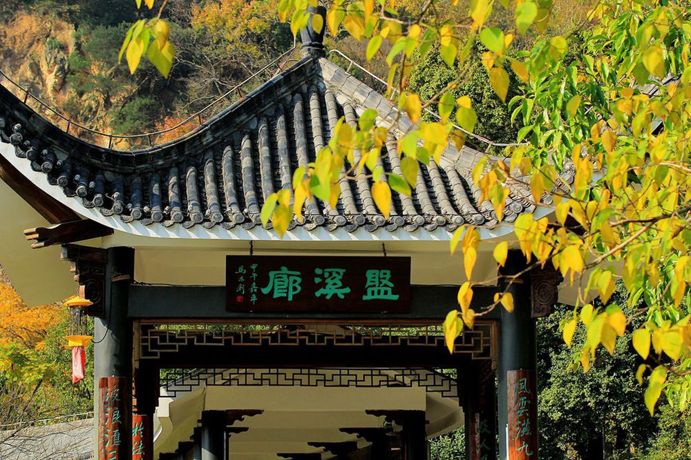 IMG_5567_副本_副本.jpg