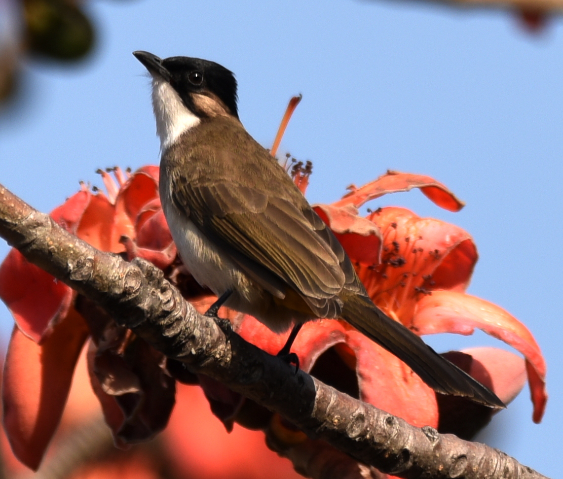 DSC_2714.JPG