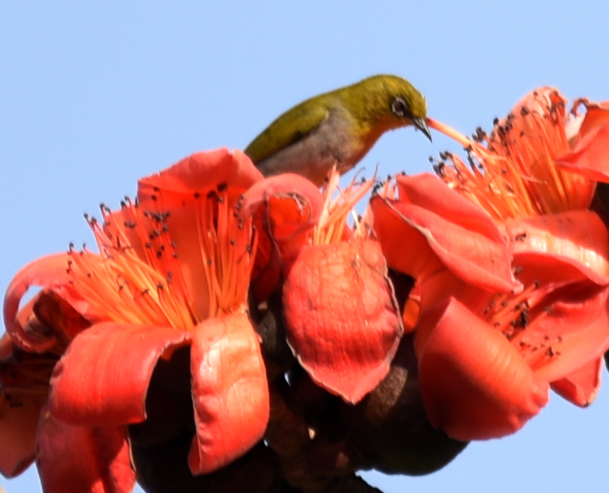 DSC_2685.JPG