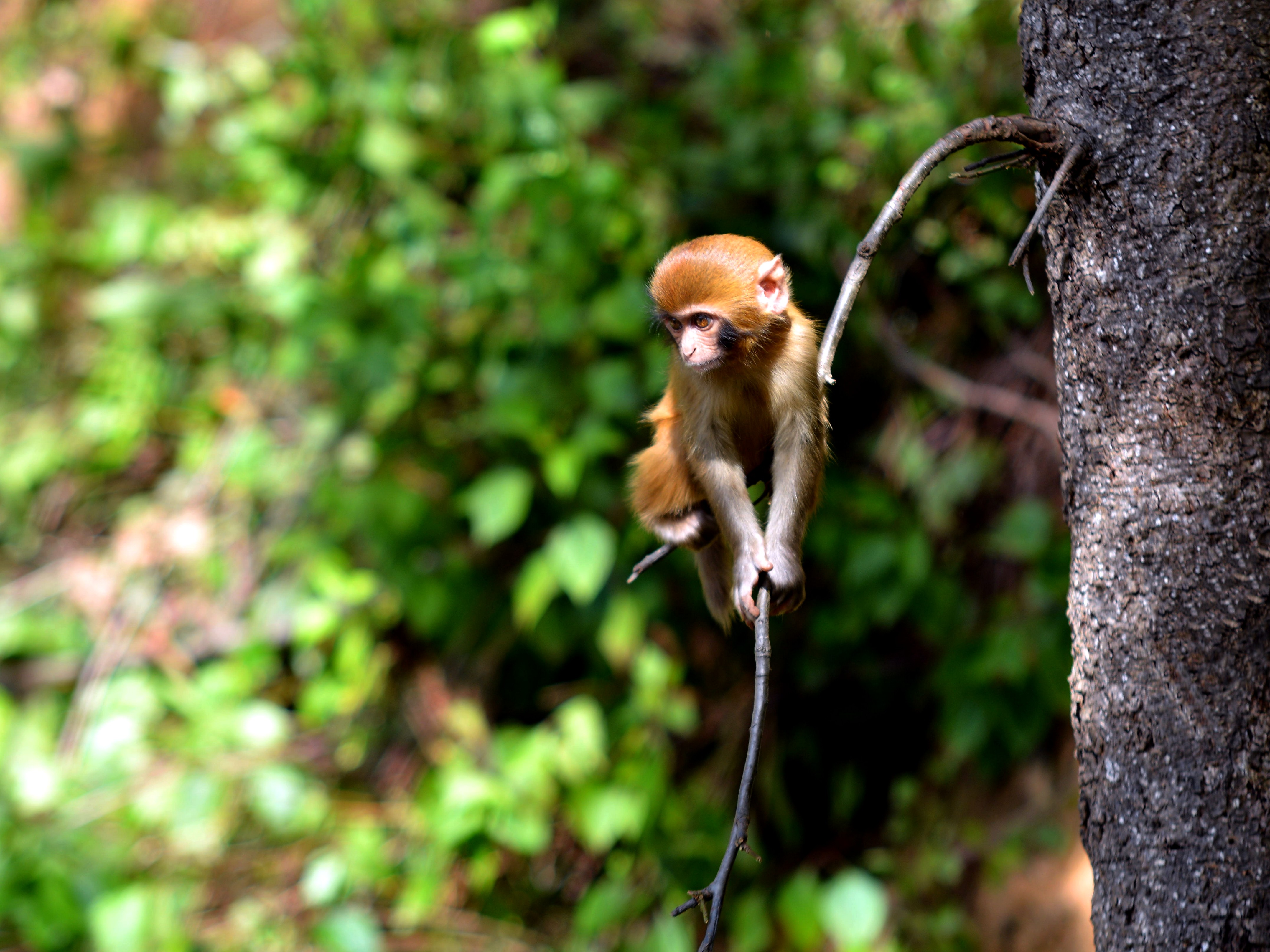 DSC_2923.jpg