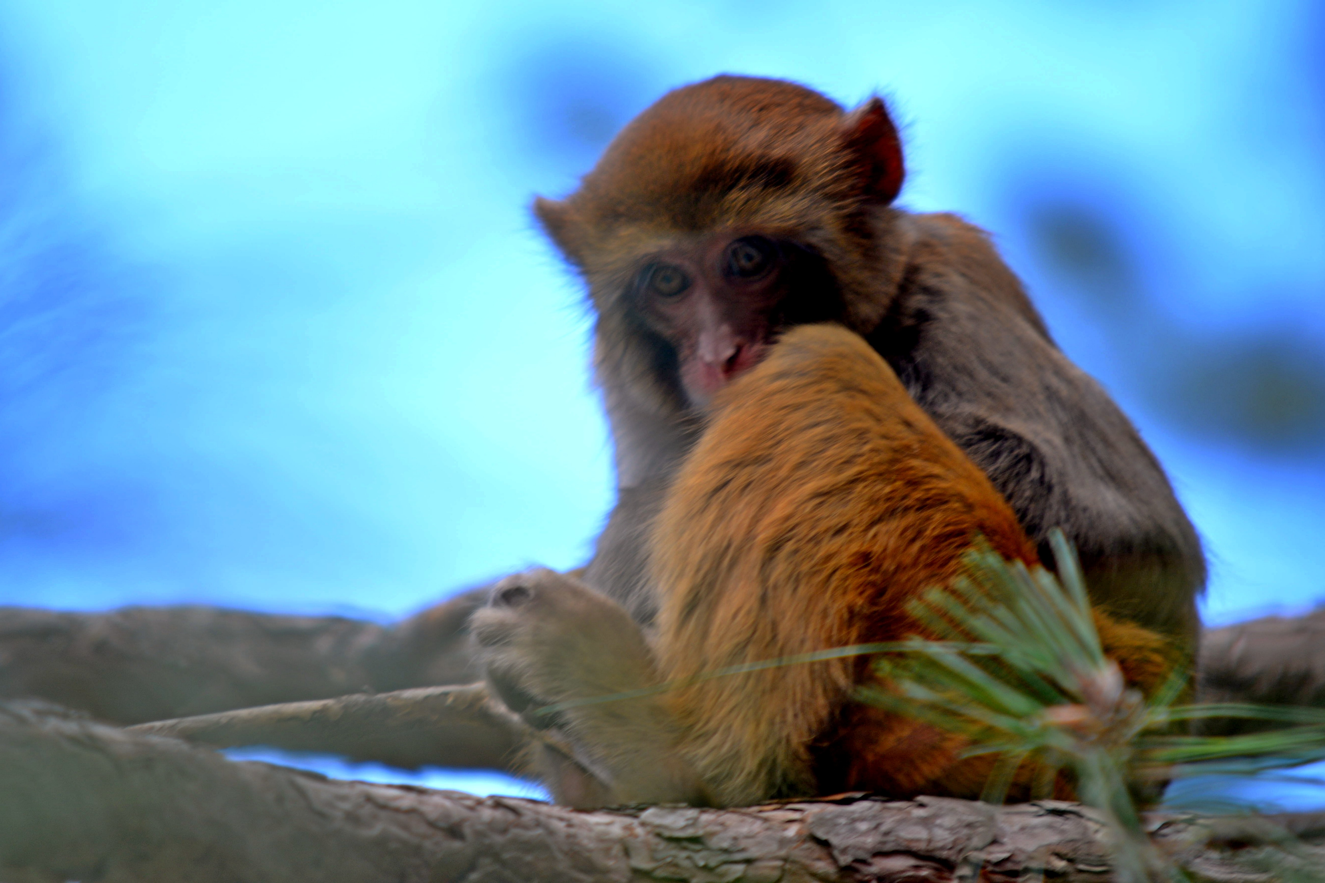 DSC_2979.jpg