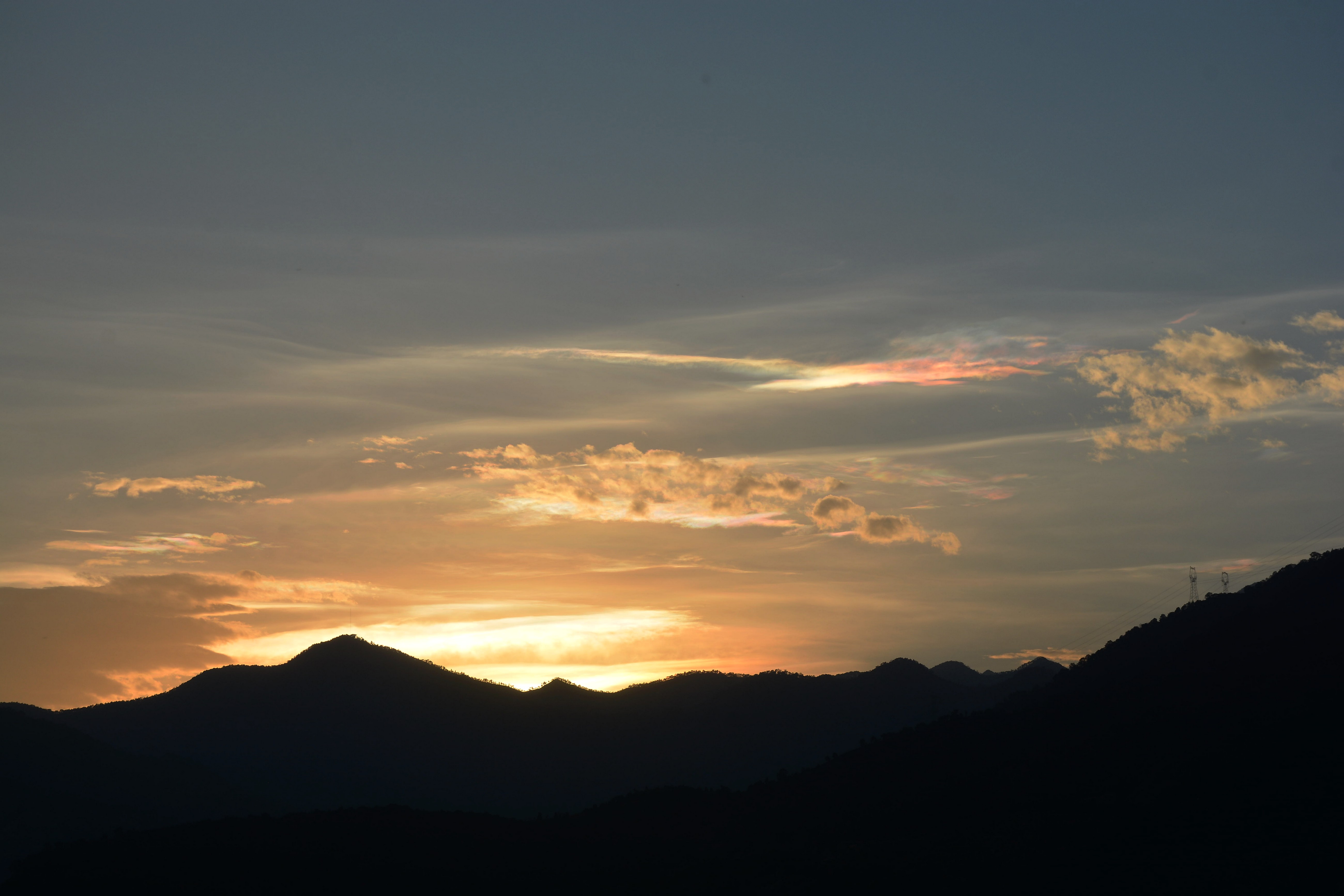 DSC_3339.jpg