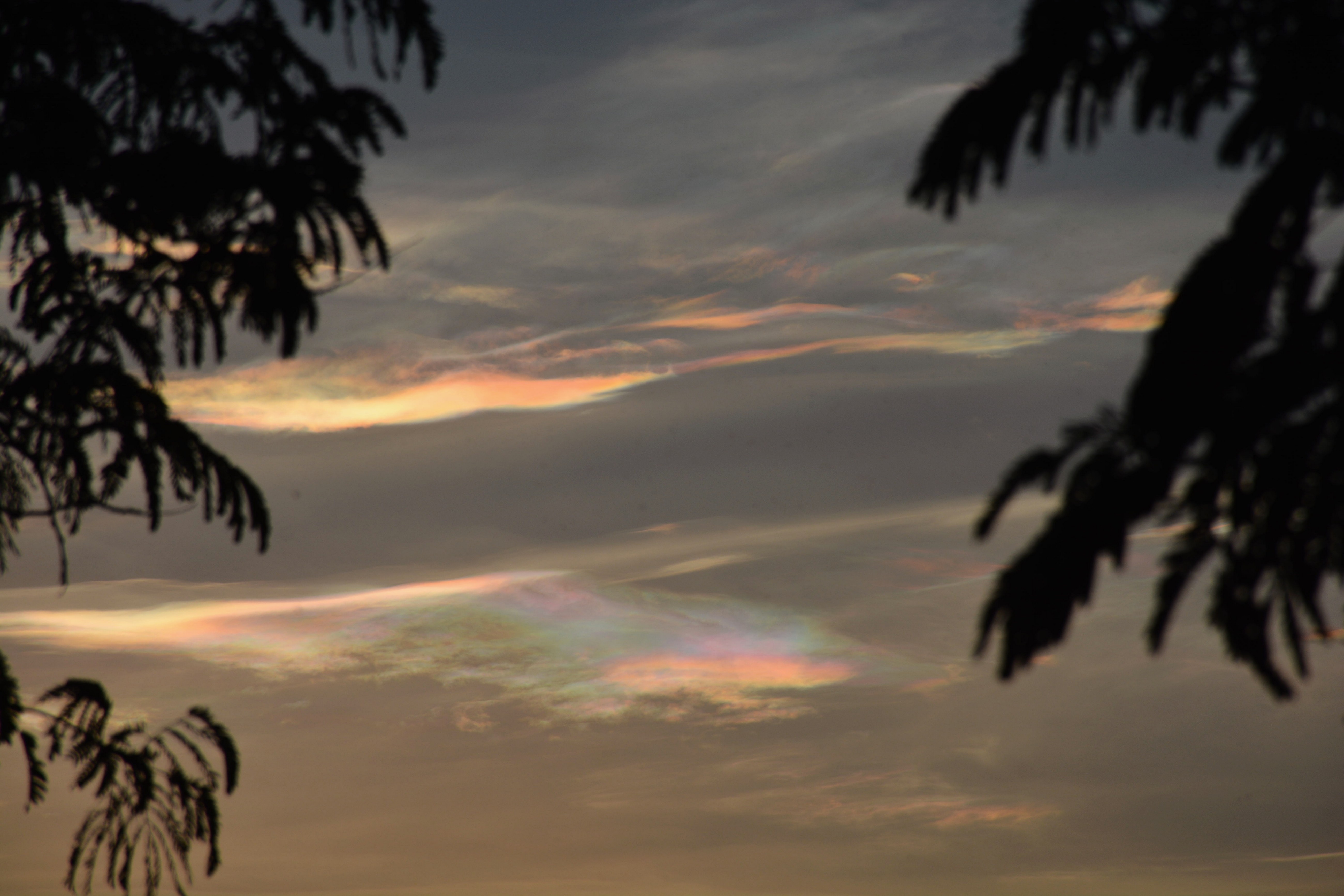 DSC_3342.jpg