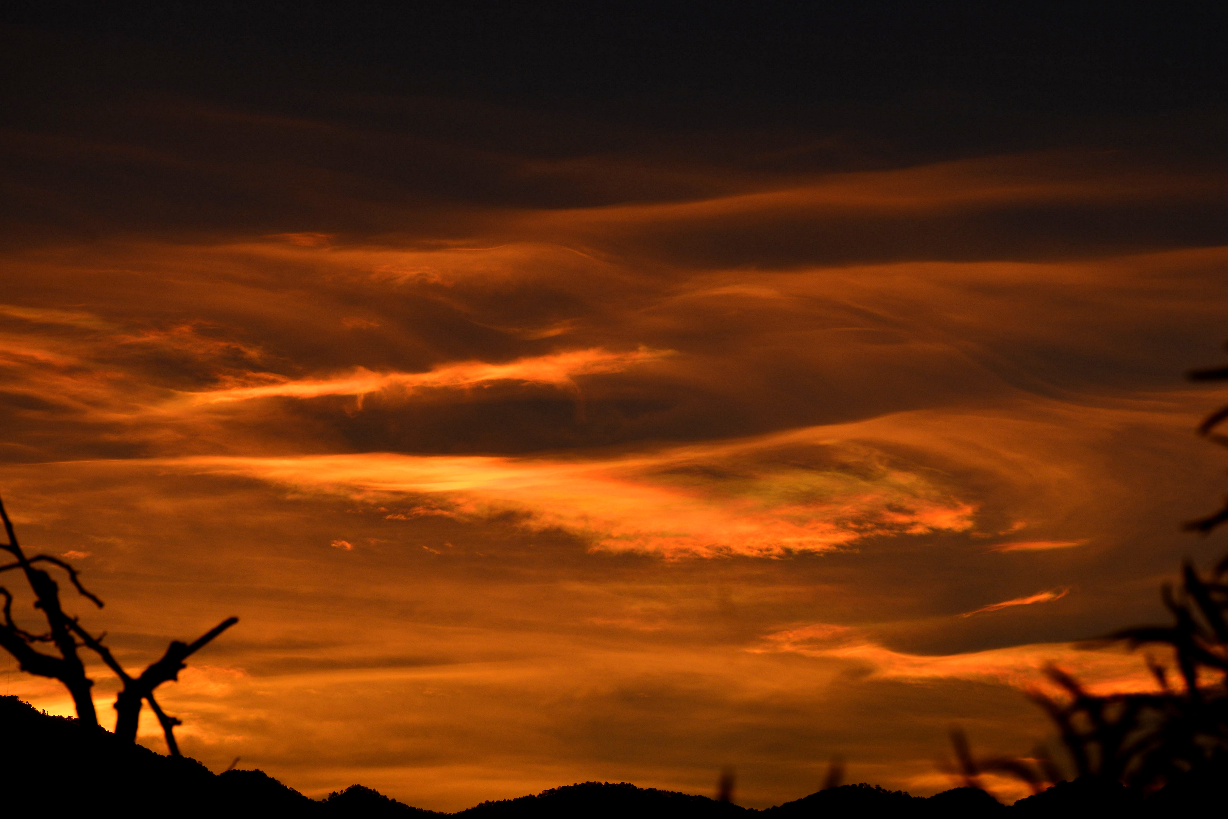 DSC_3361.jpg