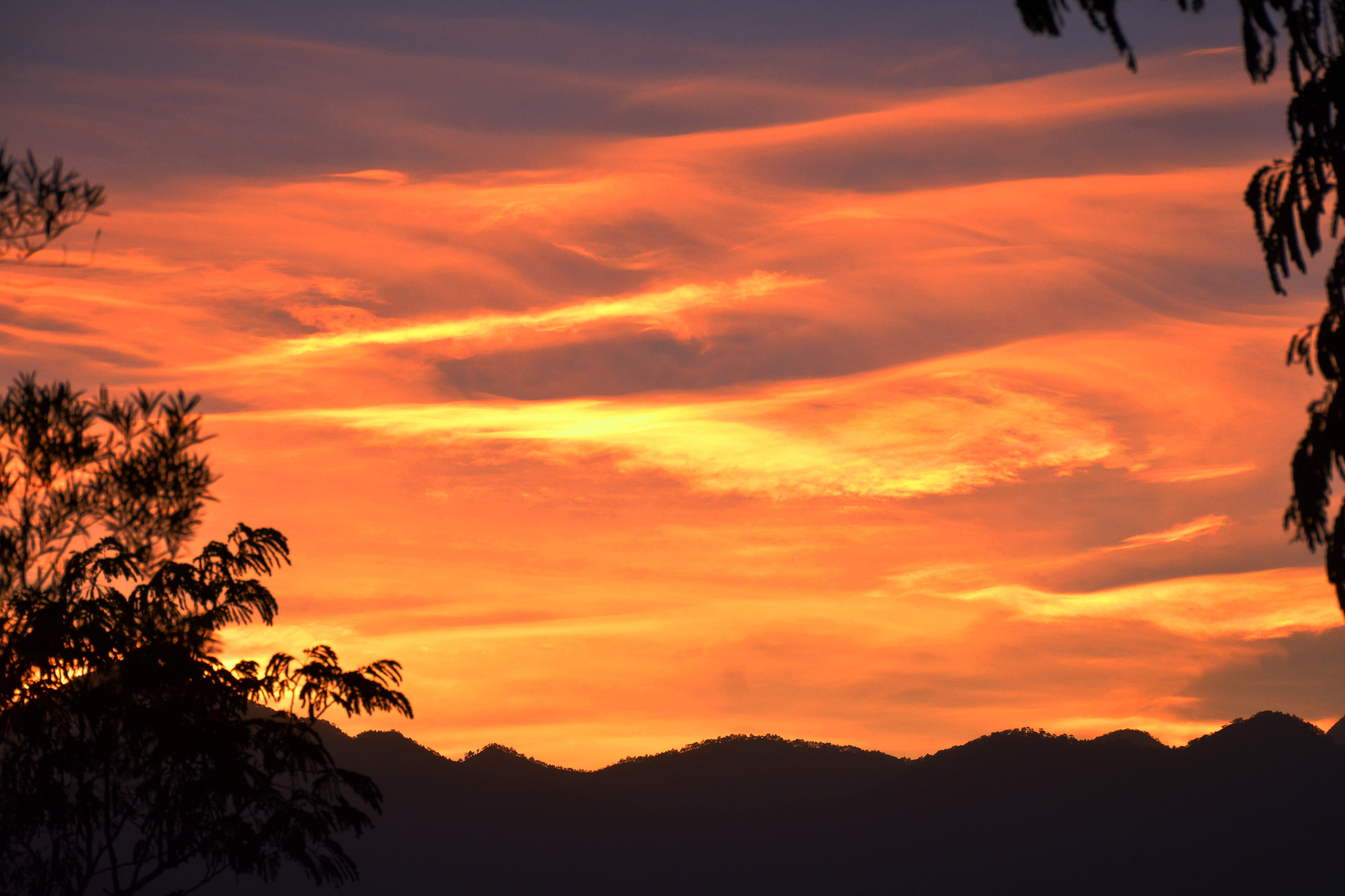 DSC_3362.jpg