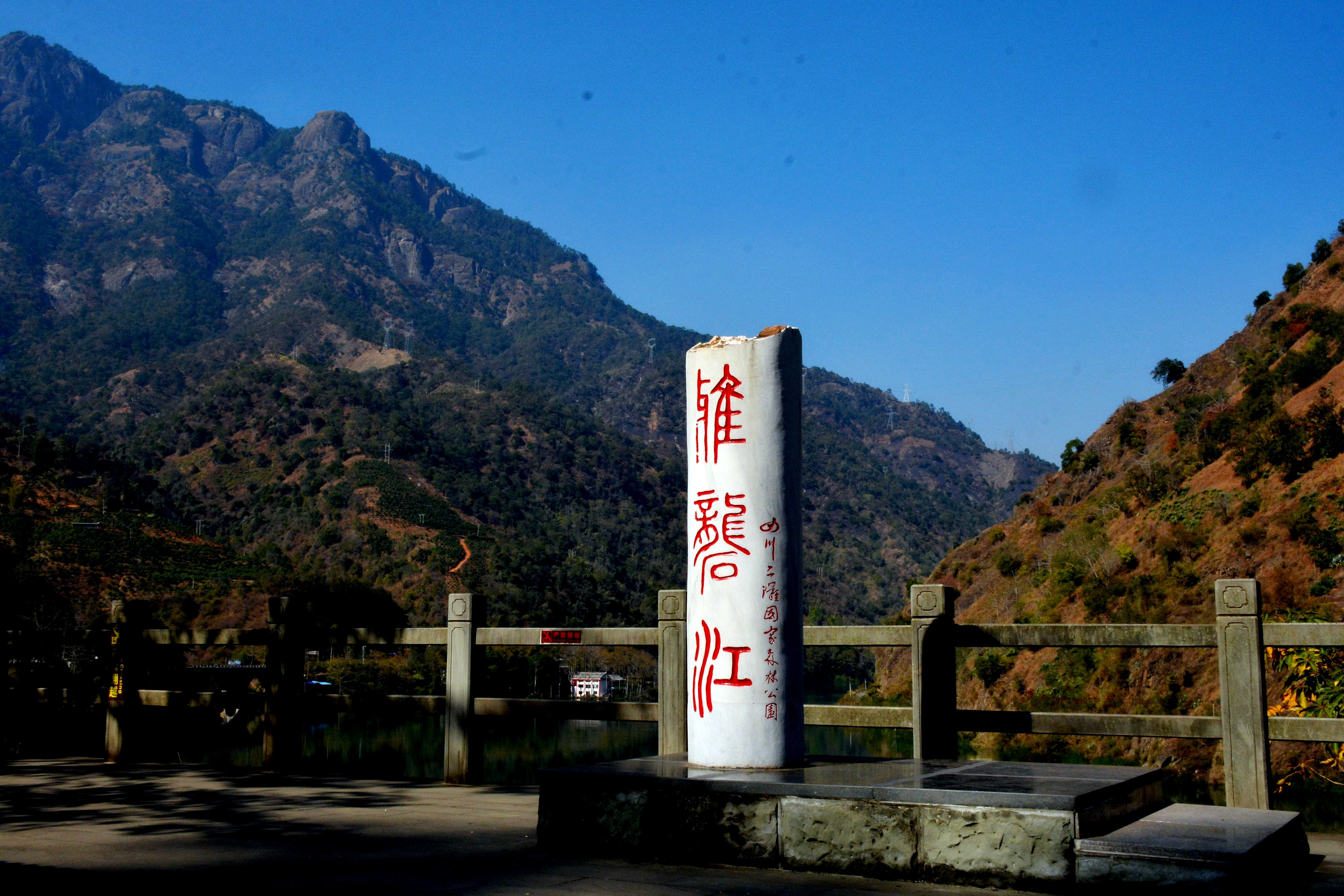 DSC_8560.jpg
