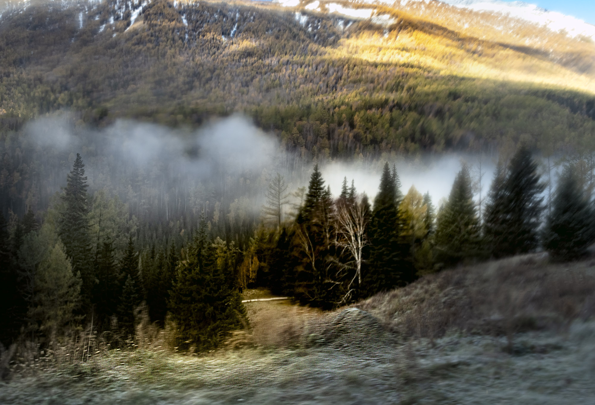 _DSC8411-1-6.jpg