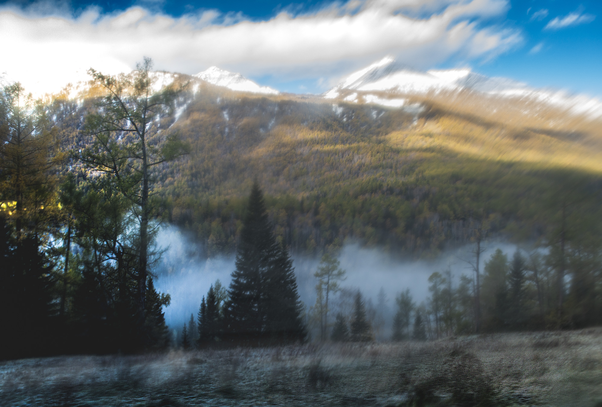 _DSC8416-1.jpg