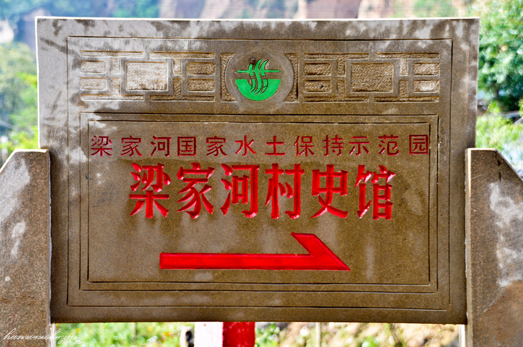 DSC_0884.JPG