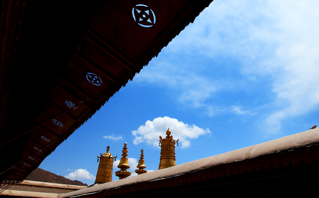 _MG_98902.JPG