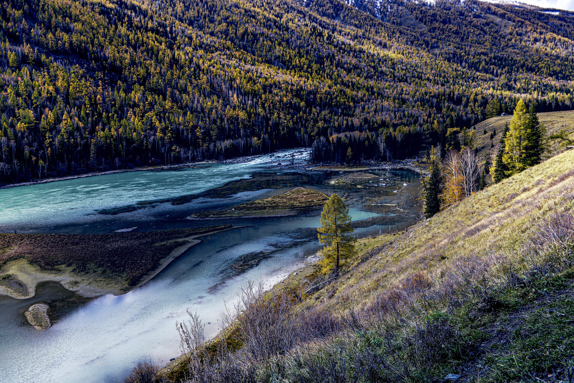 _DSC8992-2.jpg