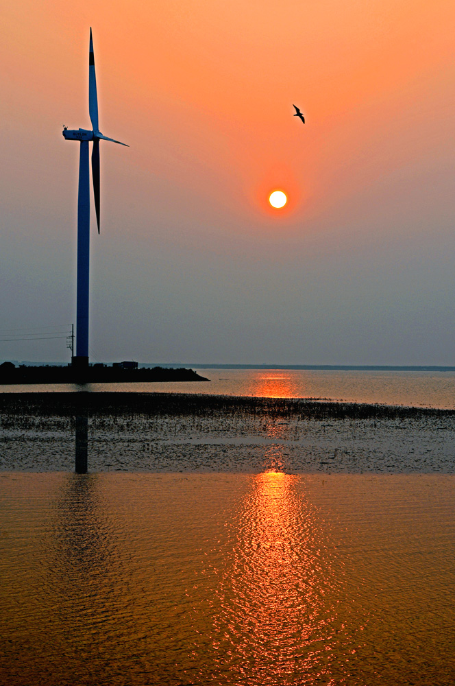DSC_3469.JPG