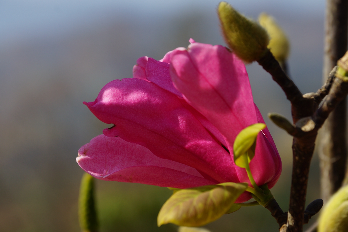 DSC00160_副本.jpg