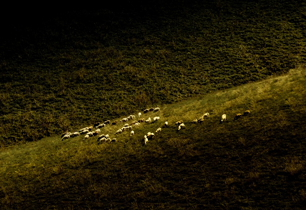 DSC_0204.JPG