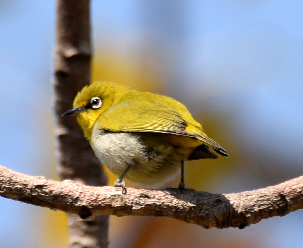 DSC_3076.JPG