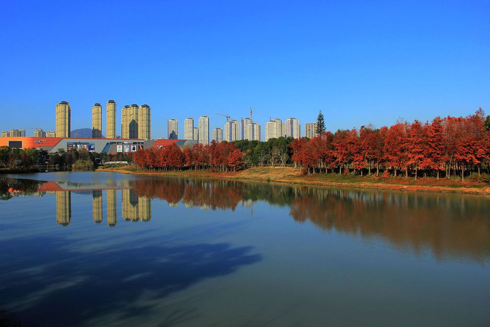 IMG_5689_副本_副本.jpg