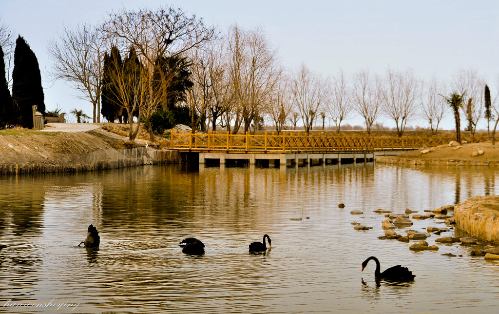 DSC_0293.JPG
