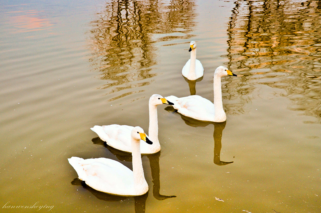 DSC_0313.JPG