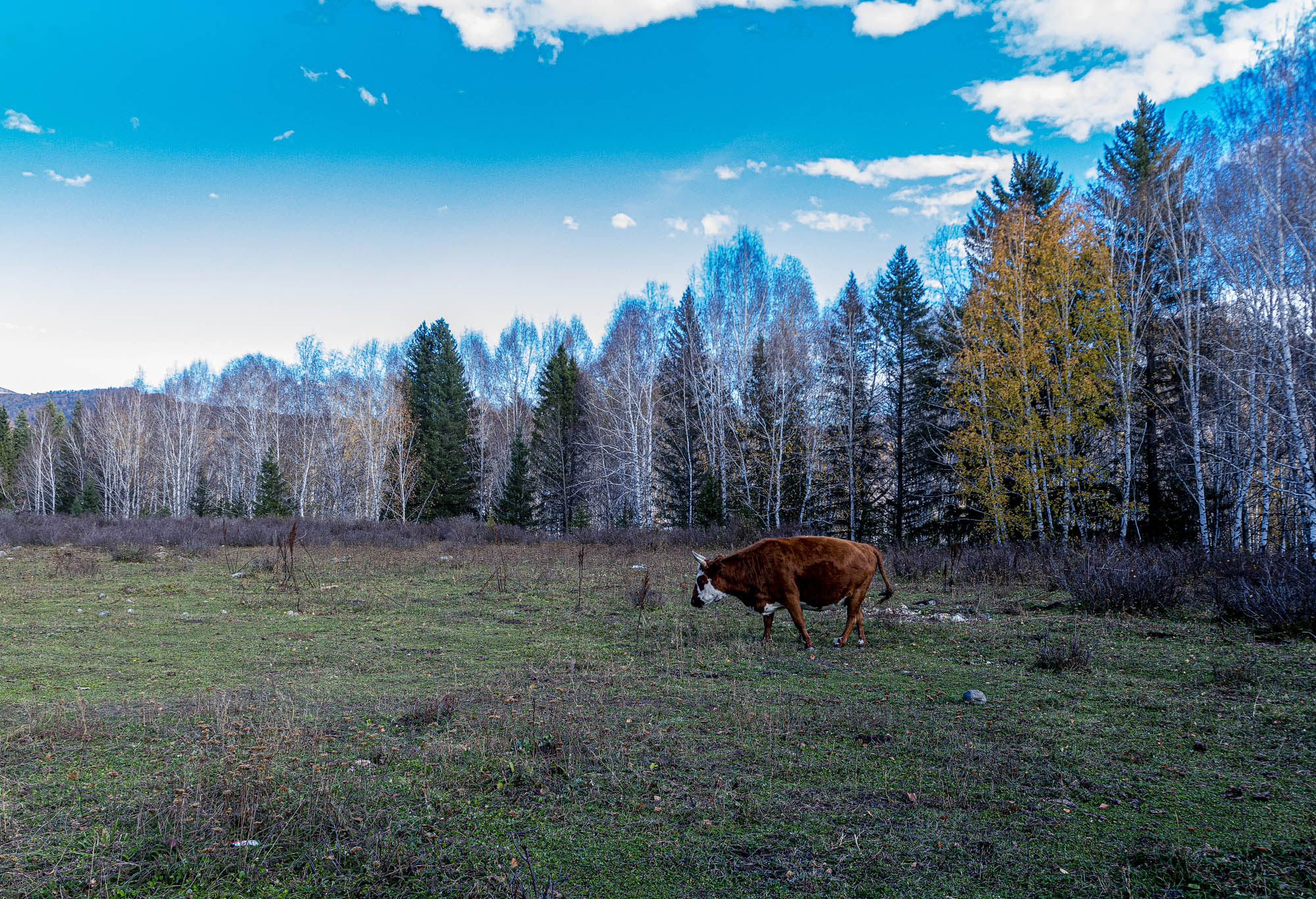 _DSC8235-1.jpg