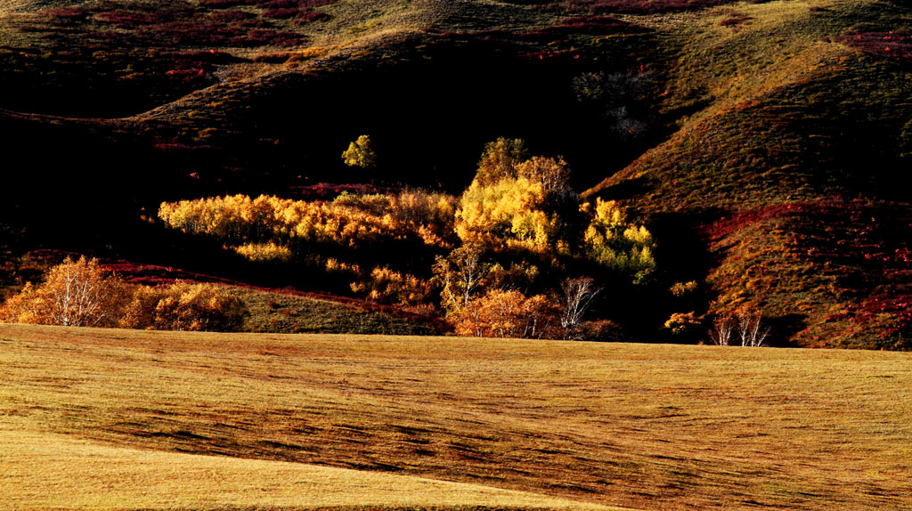 _MG_3724.JPG