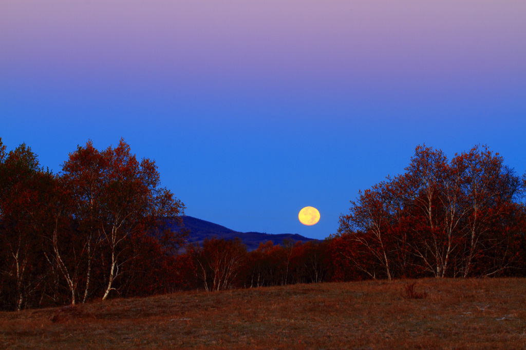 _MG_3860.JPG