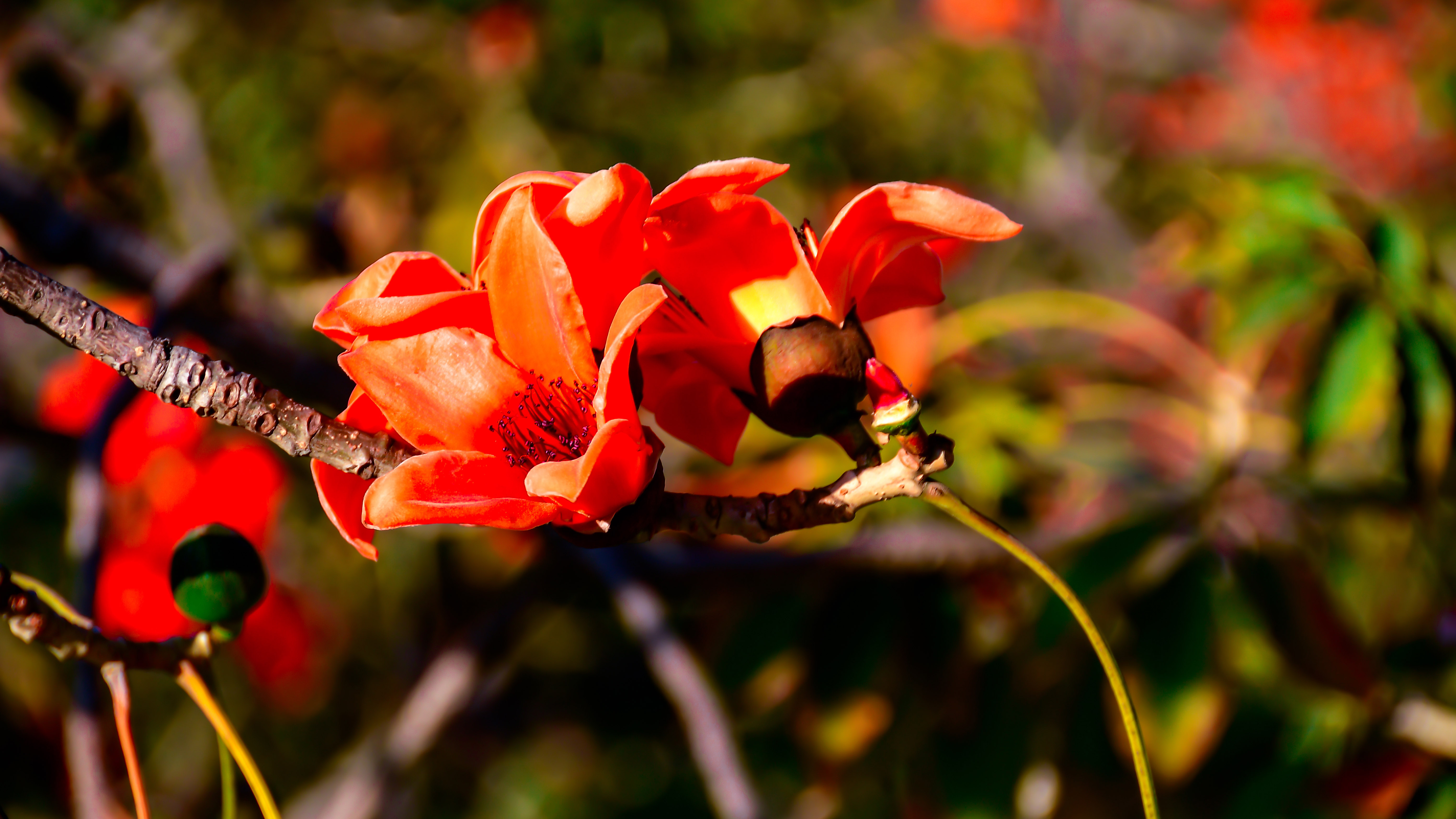 DSC_4678-3.jpg