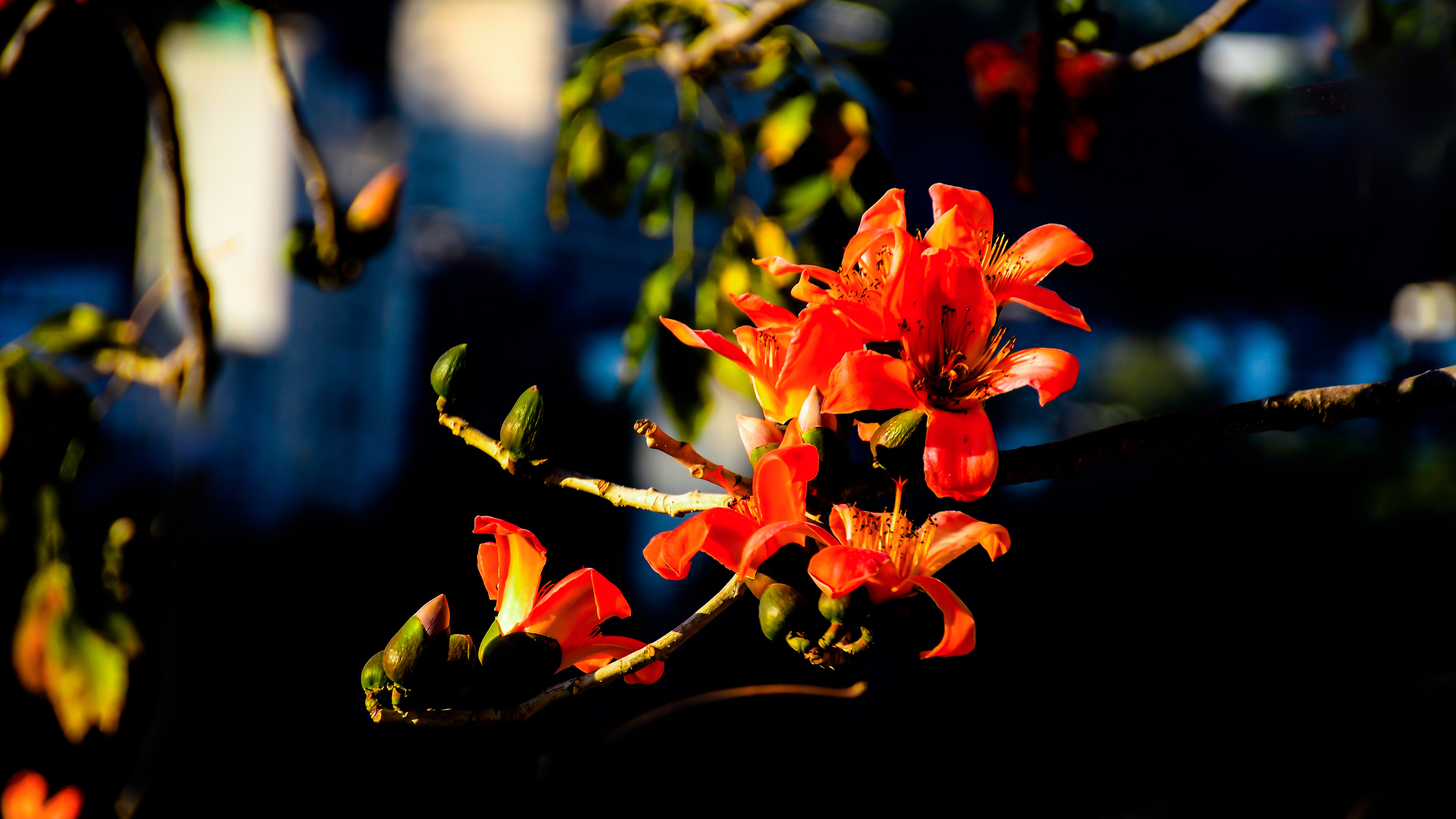 DSC_4682-2.jpg