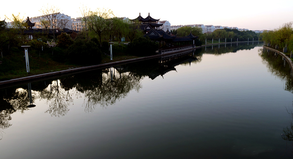 DSC_1103.JPG