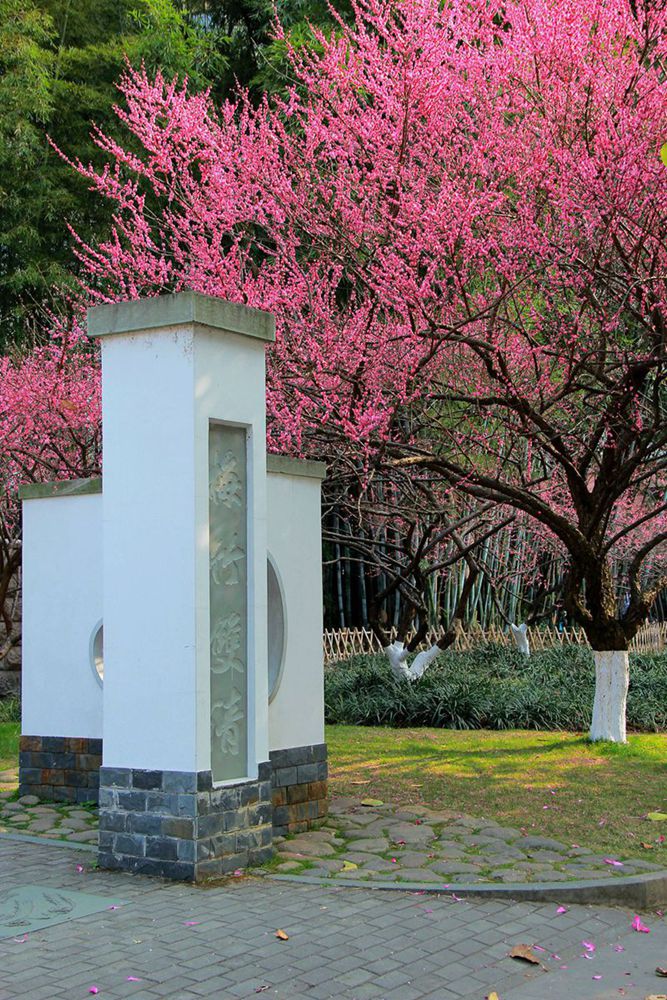 IMG_6384_副本_副本_副本.jpg
