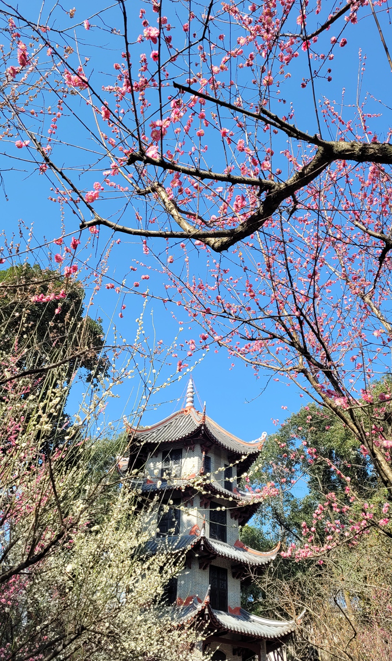 20210219085011_副本.jpg