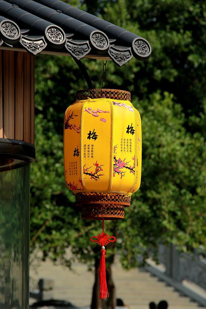 IMG_9842_副本.jpg