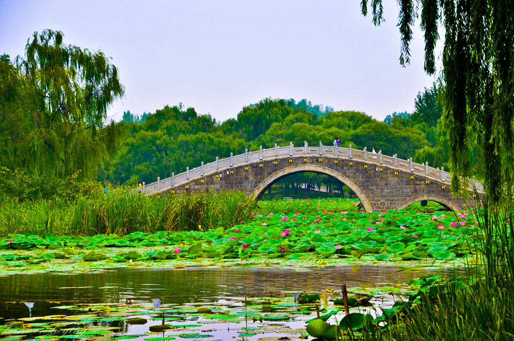 DSC_0001.JPG