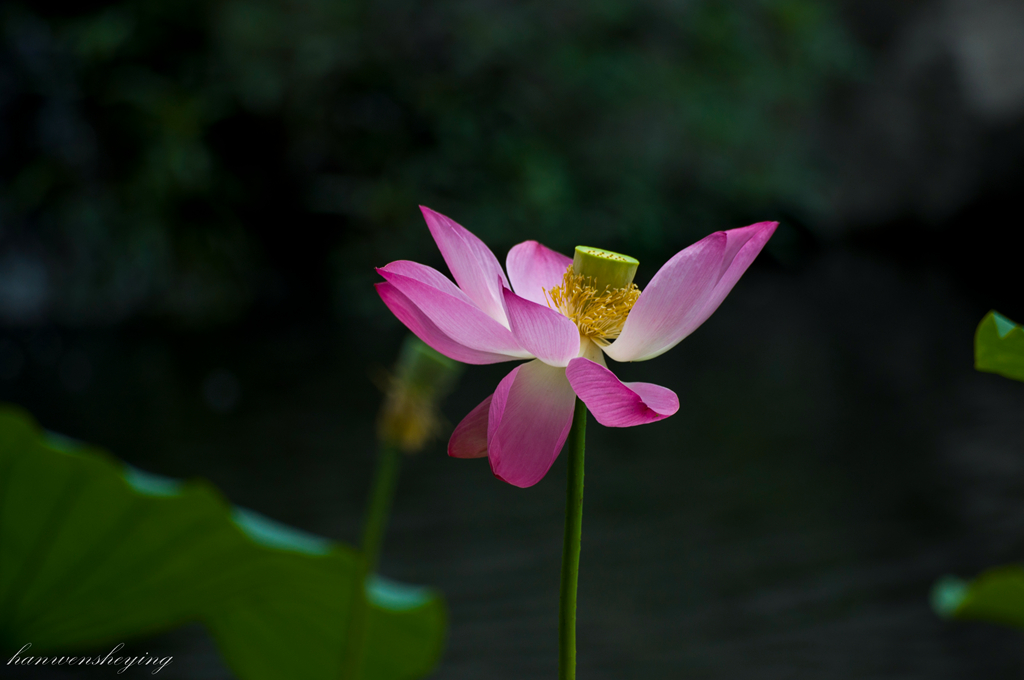 DSC_0031.jpg
