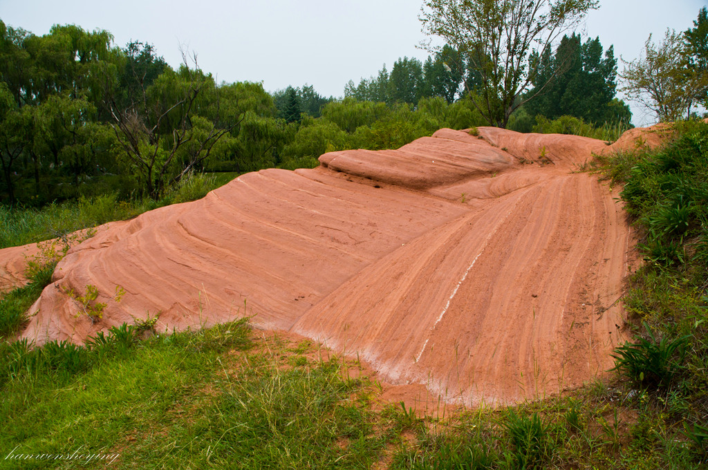 DSC_0048.jpg