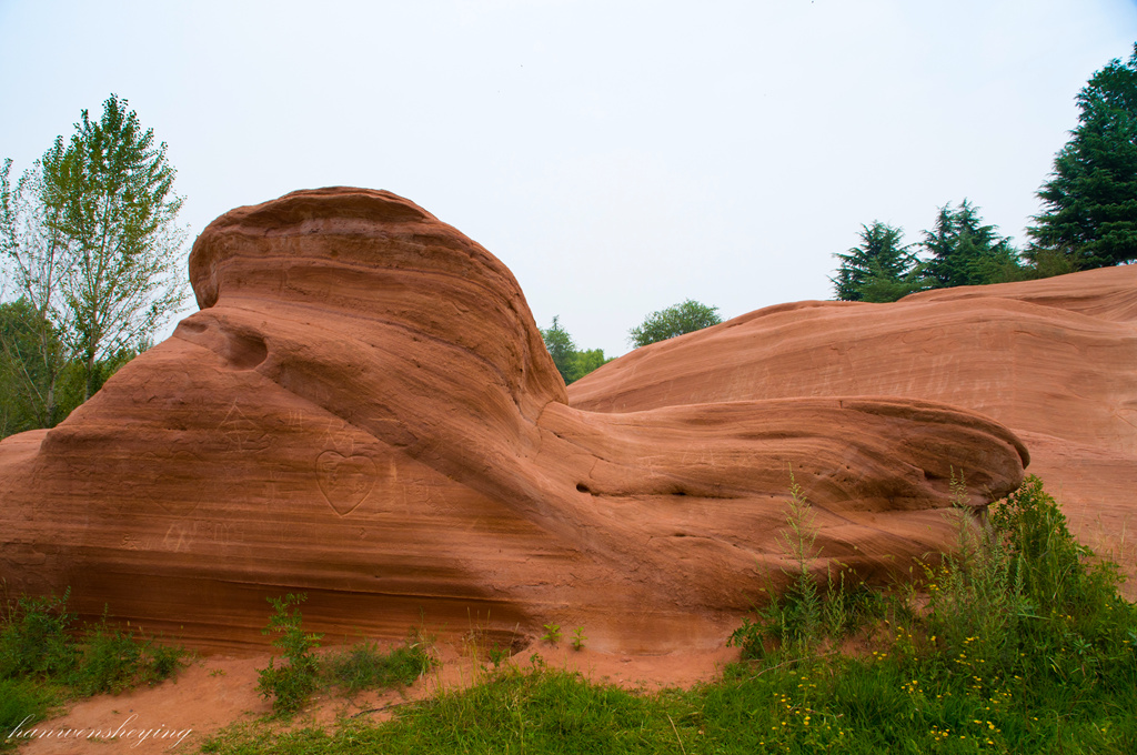 DSC_0052.jpg