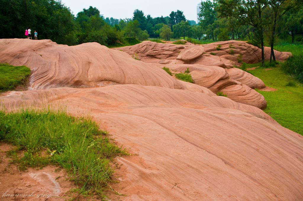 DSC_0060.jpg