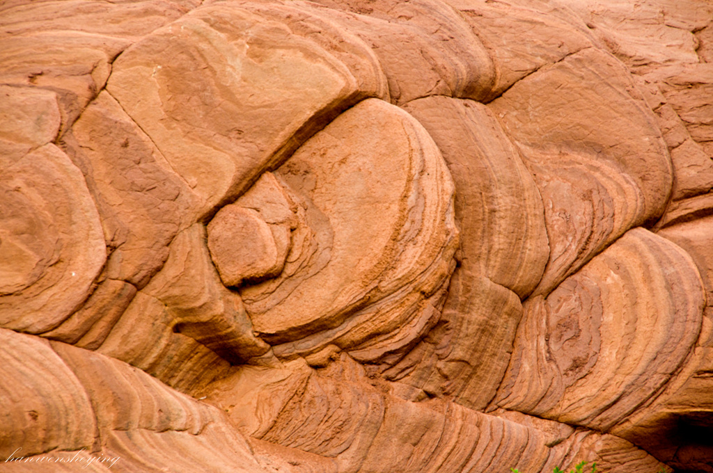 DSC_0064.jpg