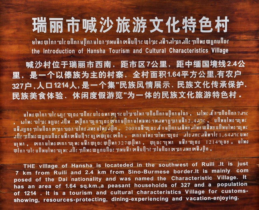 DSC_0803.JPG