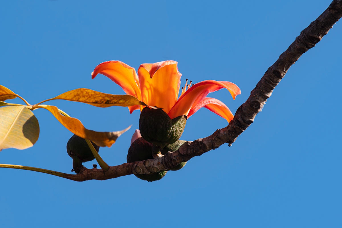 DSC_7425.jpg