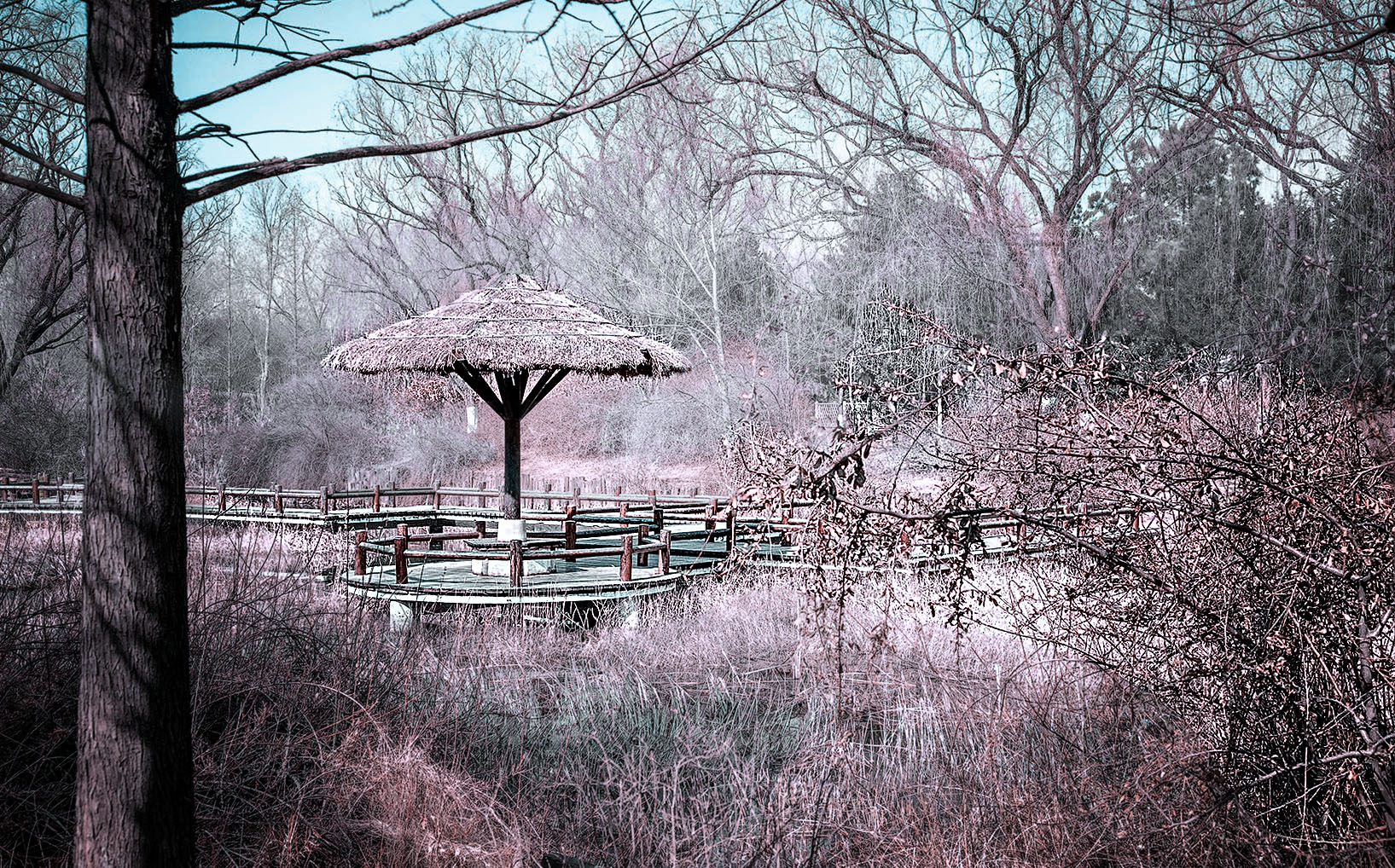 DSC_0666.jpg