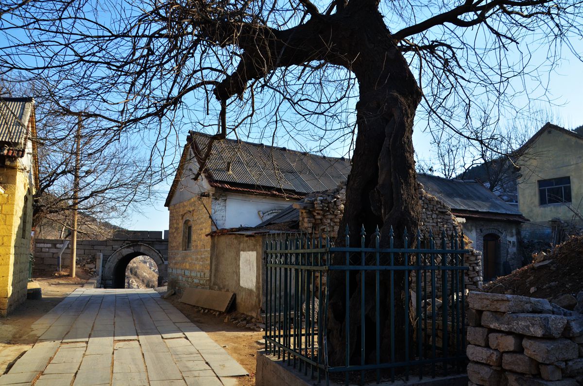 DSC_0025_副本.jpg