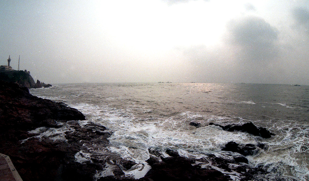 img739.jpg
