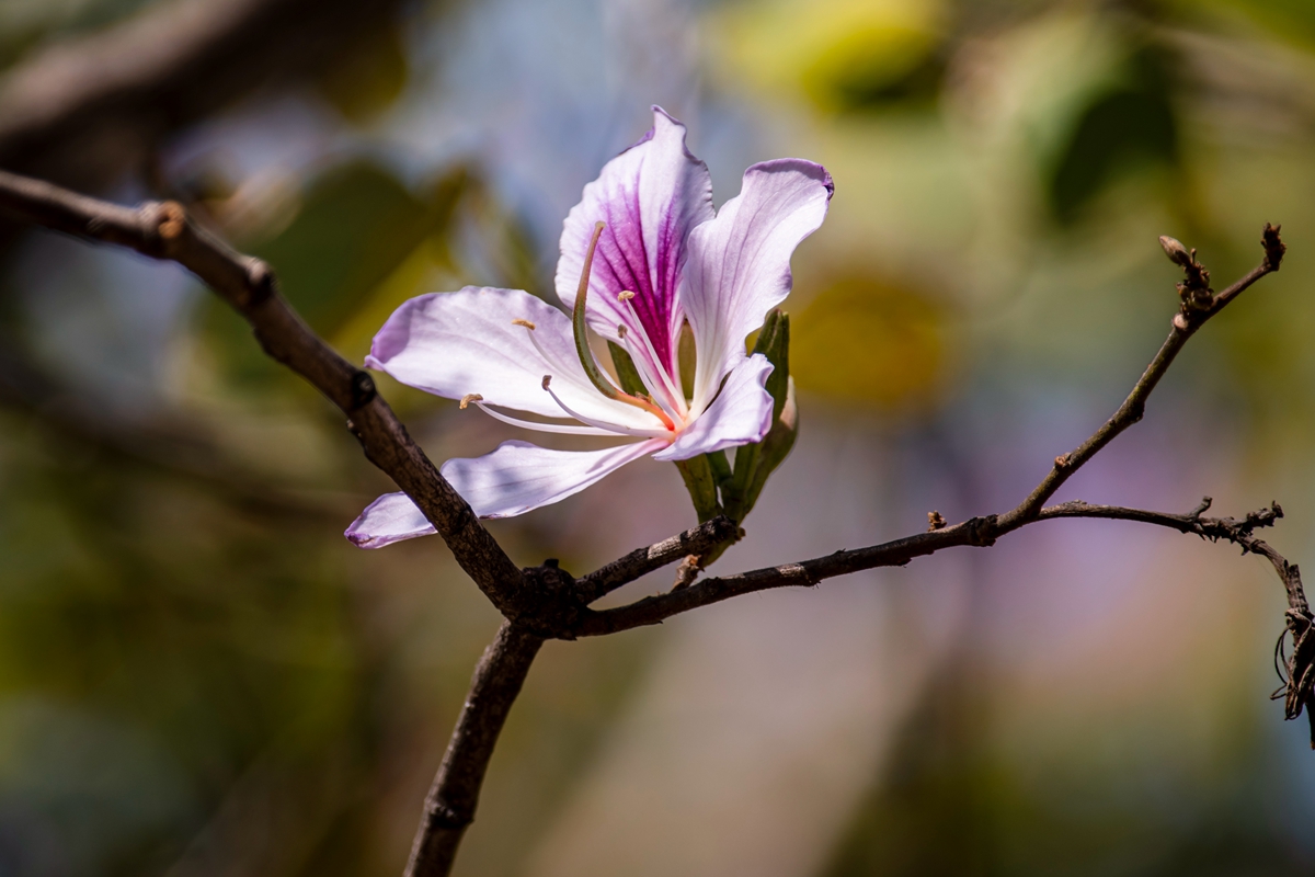 DSC_7653.jpg
