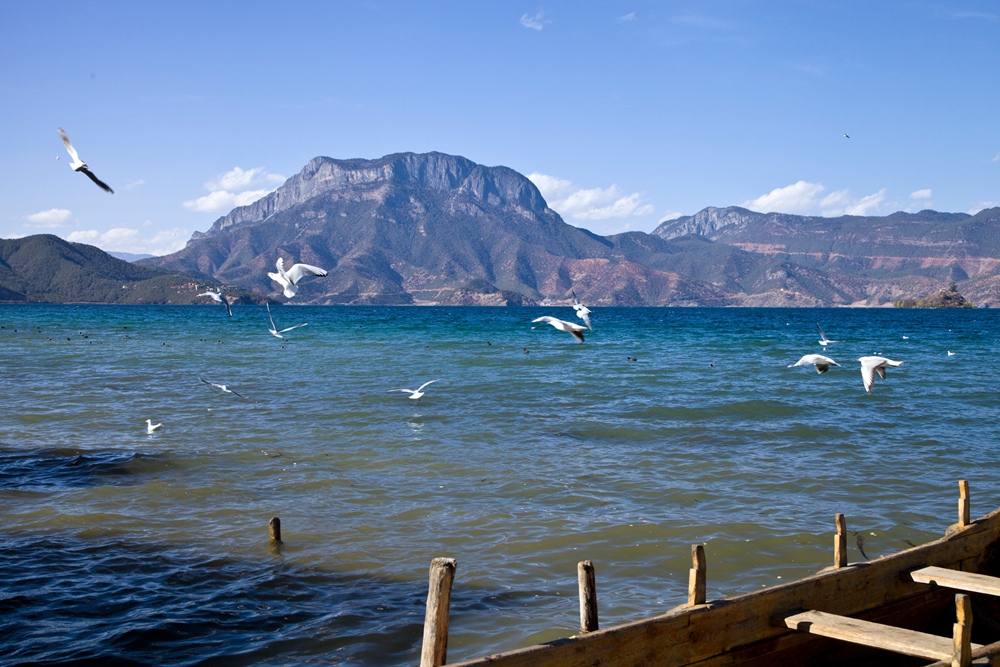 IMG_9347.JPG