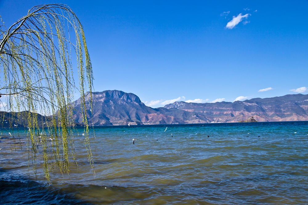 IMG_9376.JPG