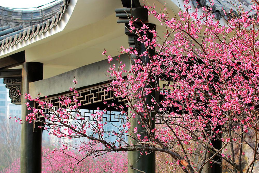 IMG_6190_副本.jpg