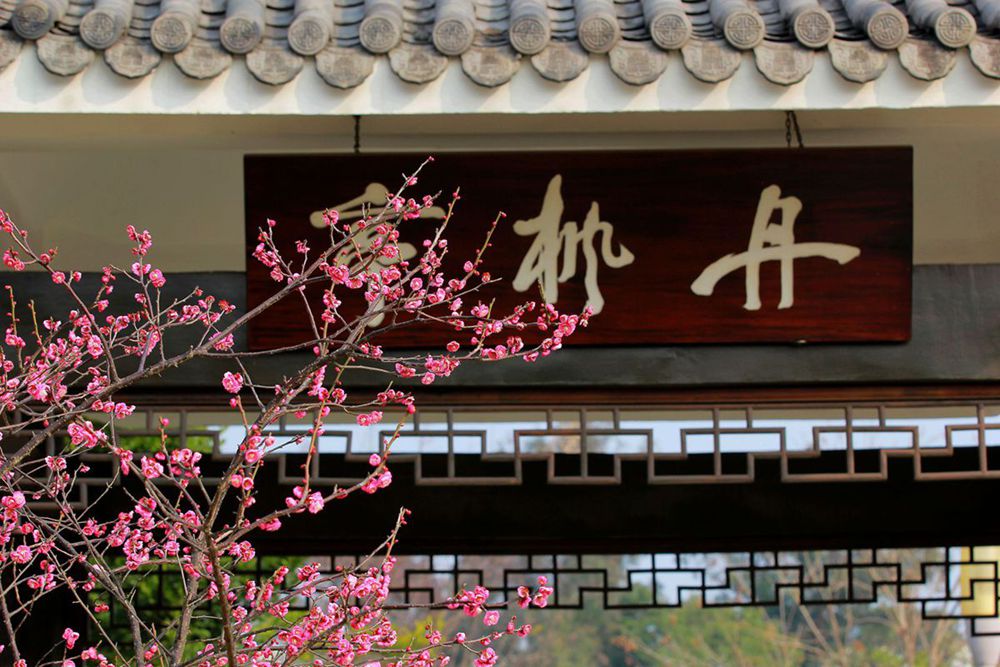 IMG_6211_副本_副本.jpg
